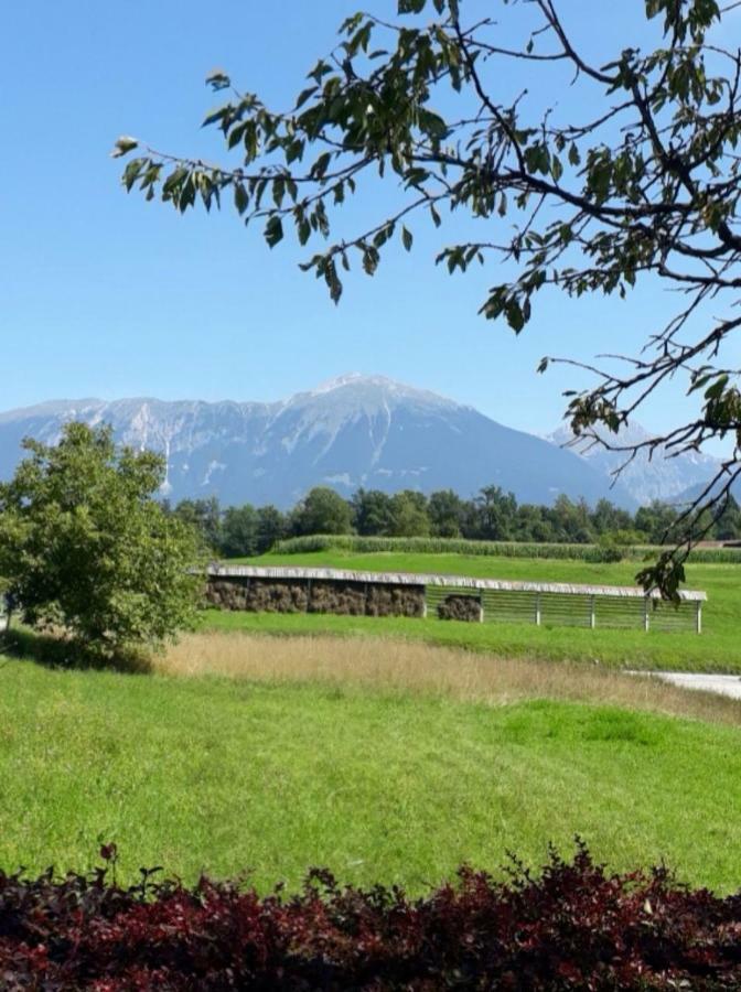 1a Ribno -